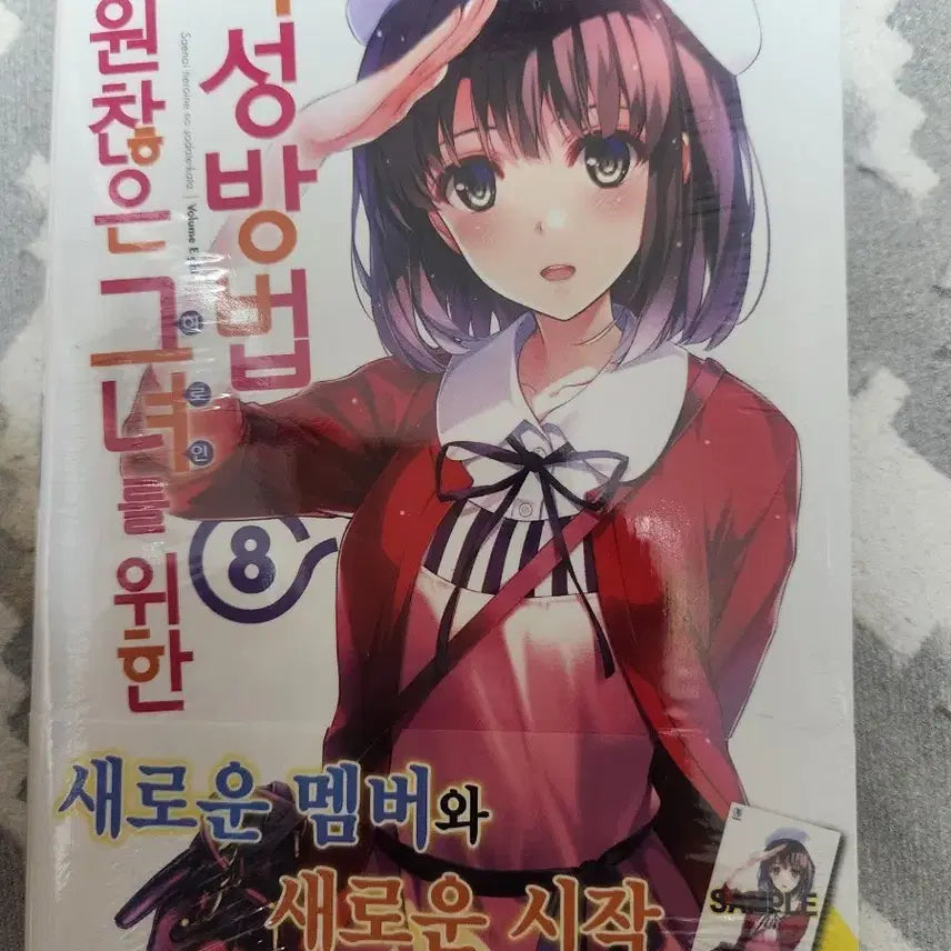 [BUNJANG] How to Raise a Boring Girlfriend Volume 8 First Edition Unsealed Light Novel / 시원찮은 그녀를 위한 육성방법 8권 초판미개봉 라노벨