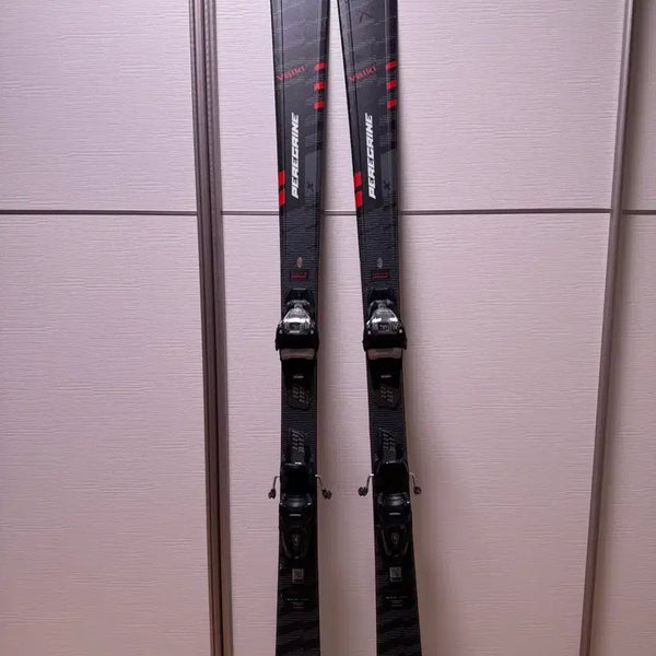 [BUNJANG] Völkl Peregrine 165cm Skis (24/25 Model) / 뵐클 24/25 Peregrine 페레그린 스키
