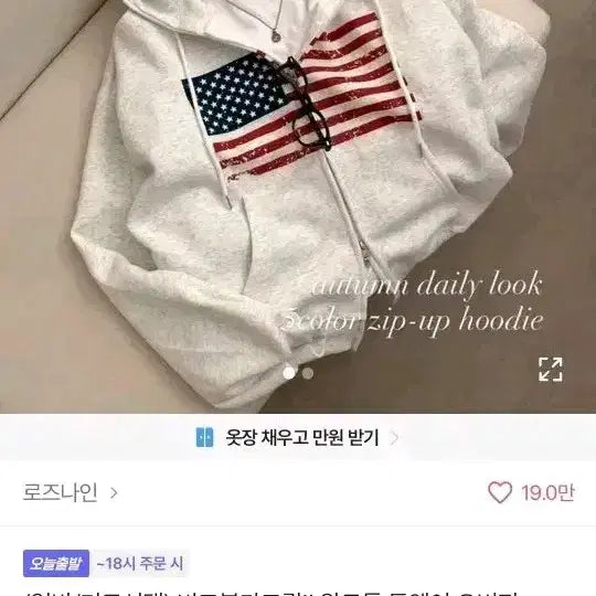 [BUNJANG] American Flag Hoodie Zip-up (Fleece Lined) / 성조기 미국 국기 후드 집업 기모 그레이