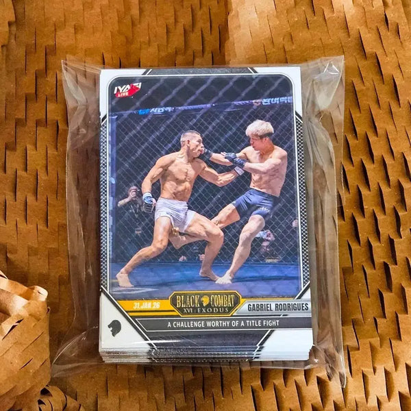 [BUNJANG] Black Combat Pyeong Card EX Full Set (40 Cards) / 블랙컴뱃 평카드(EX) 전종(40장)