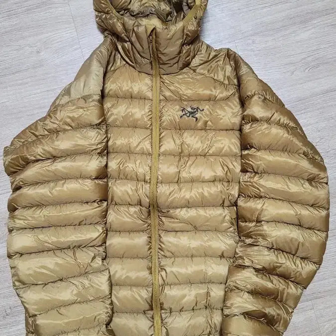 [BUNJANG] Arc'teryx Cerium LT Yukon Hooded Down Jacket / 아크테릭스 세륨 LT 유콘