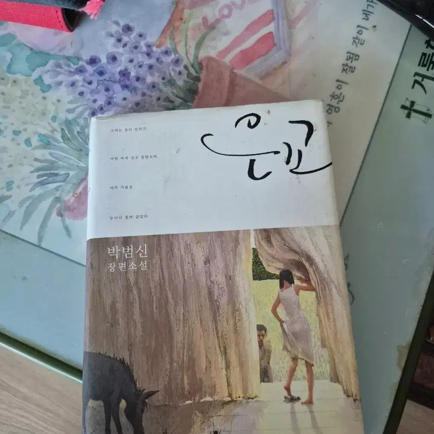 [BUNJANG] Park Bum-shin "Eun-go" Novel / 박범신 은고 장편소설