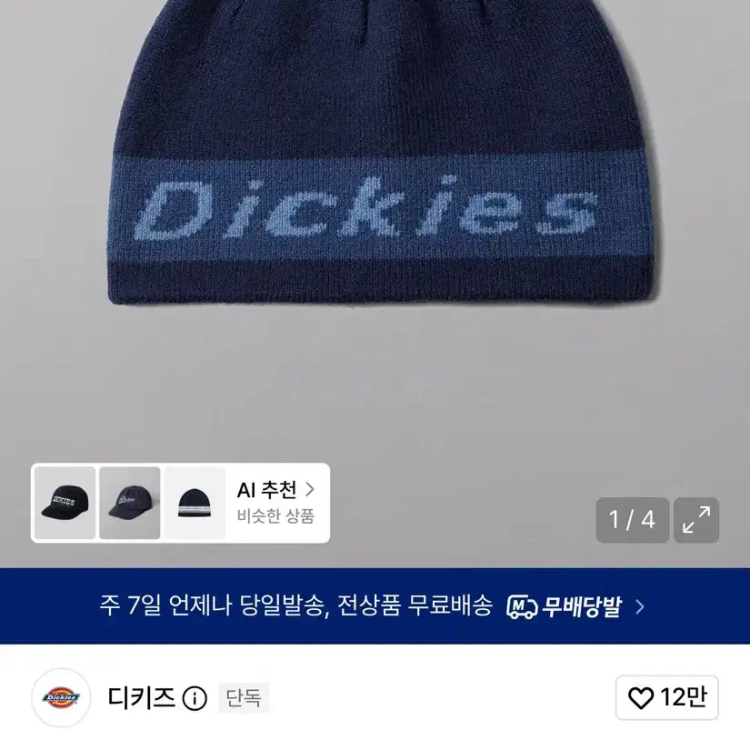 [BUNJANG] Dickies Beanie Navy / 디키즈 비니 네이비