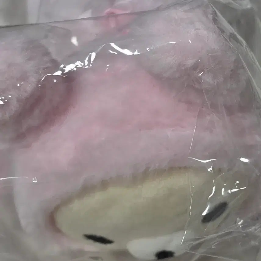 [BUNJANG] Korilakkuma Pencil Case (Sealed) / 코리락쿠마 가득 필통 미개봉
