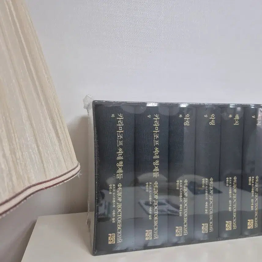 [BUNJANG] Fyodor Dostoevsky 200th Anniversary Edition Set / 도스토옙스키 탄생 200주년 기념판 세트