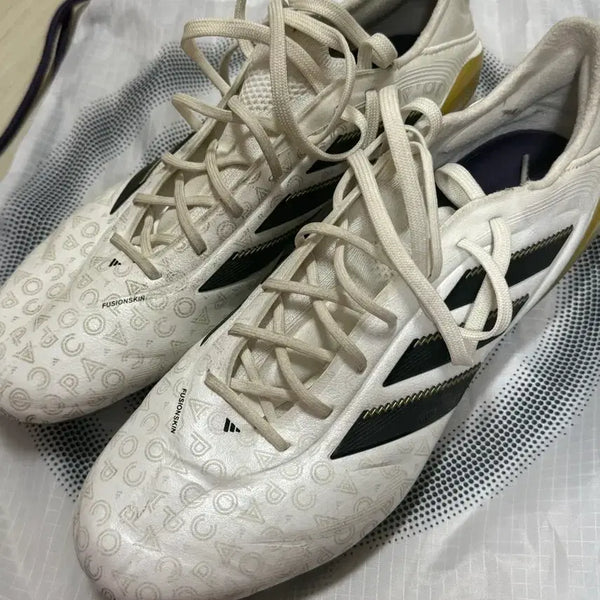 [BUNJANG] Adidas CopaPure3 Elite HG Football Boots / 아디다스 코파퓨어3 엘리트HG