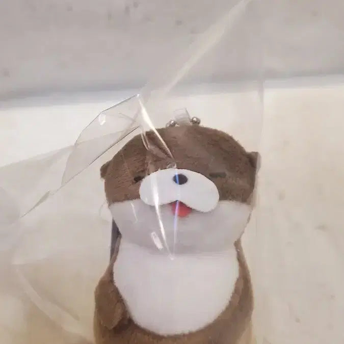 [BUNJANG] Amuse Otter vMC Mascot / 일본 어뮤즈 정품) 수달 vMC 마스코트