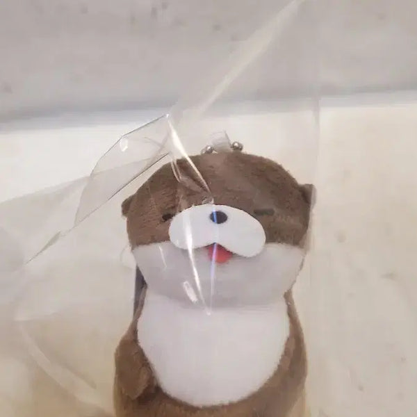 [BUNJANG] Amuse Otter vMC Mascot / 일본 어뮤즈 정품) 수달 vMC 마스코트