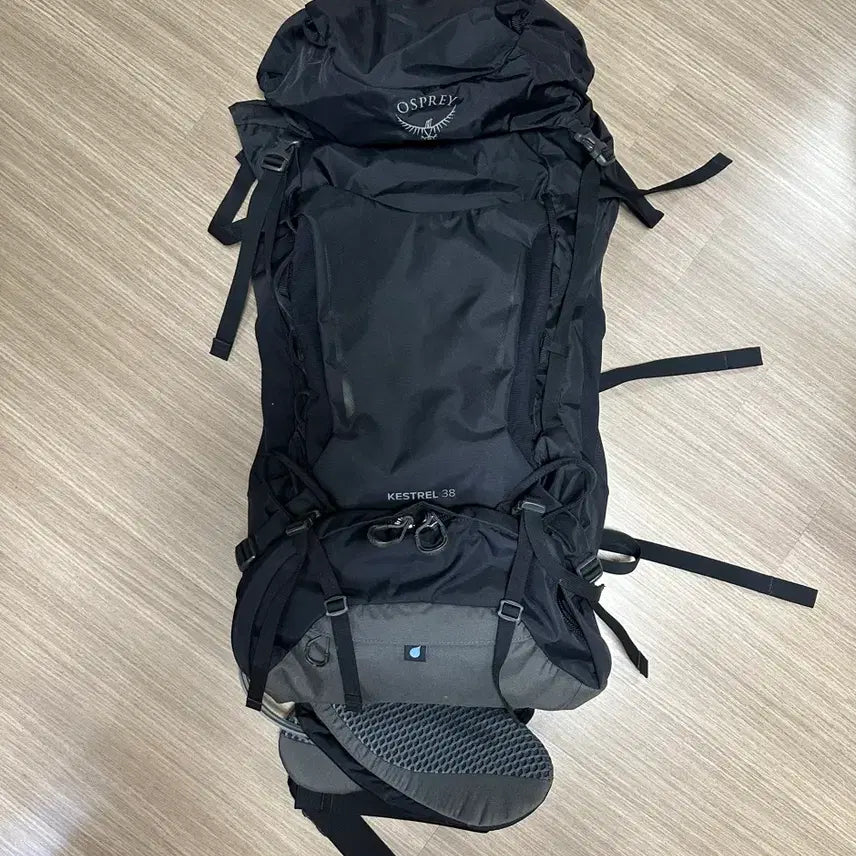 [BUNJANG] Osprey Kestrel 38 Backpack (L/XL, Black) / (출국 전 급처!!) 오스프리 케스트럴 38