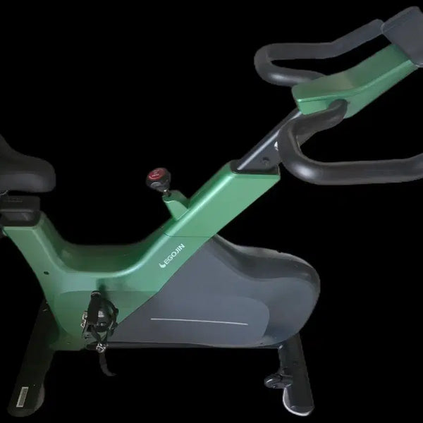 [BUNJANG] eGojin 201S Spinning Indoor Bike / 이고진 201s 스피닝 실내자전거