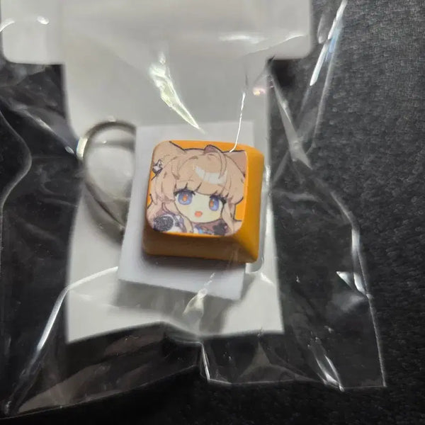 [BUNJANG] GS Enfield Pellica Keycap (Sealed) / GS 엔드필드 펠리카 키캡(미개봉)