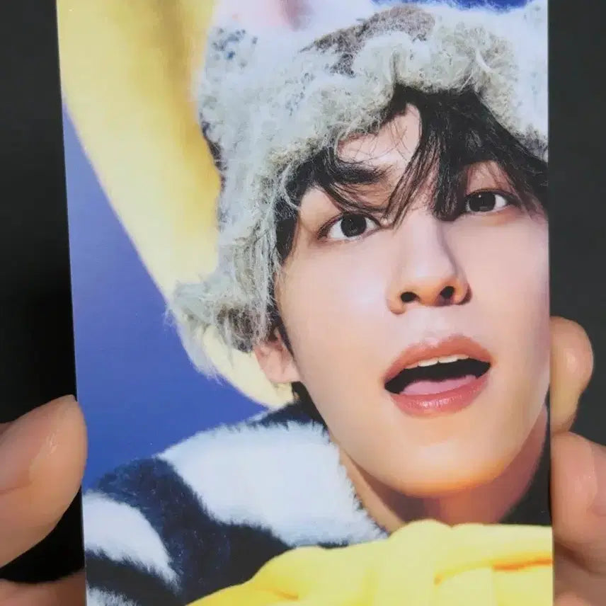 [BUNJANG] Day6 Wonpil The Present Concert Photocard / (원가양도) 데이식스 원필 The Present 클콘 선물콘 트레카