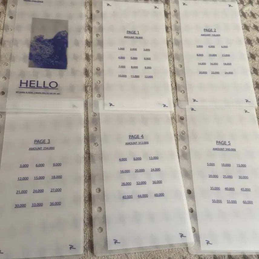 [BUNJANG] PVC Cash Binder Inserts (Set of 5) / 현금생활 현금속지 판매합니다