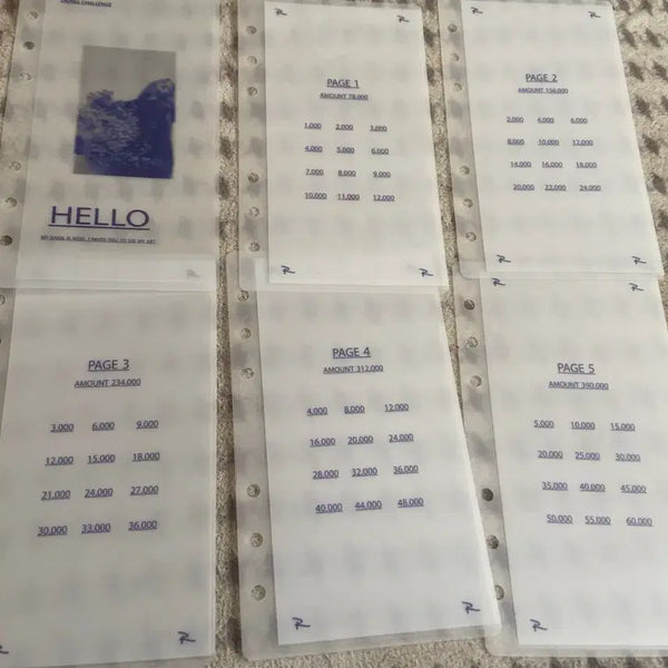 [BUNJANG] PVC Cash Binder Inserts (Set of 5) / 현금생활 현금속지 판매합니다