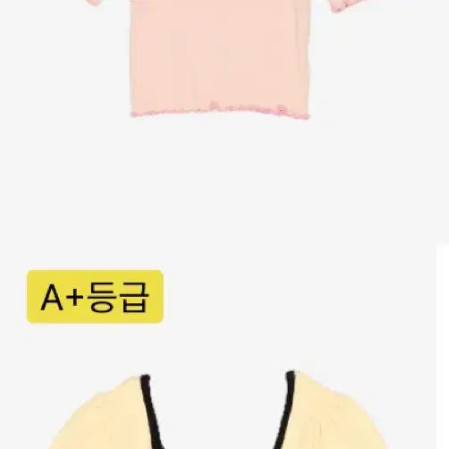 [BUNJANG] Cherry Quarry Cropped T-Shirt / 체리퀴리 크롭티