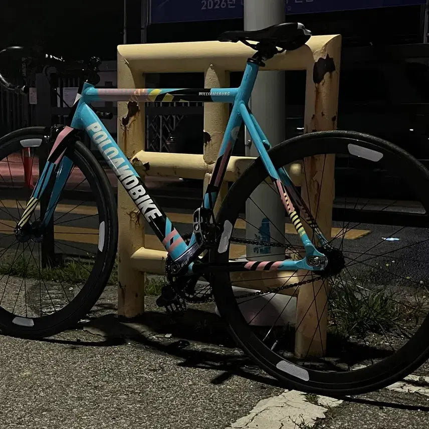 [BUNJANG] Palace & Bike Williamsburg Team Edition Frame 55 / 폴로앤바이크 윌리엄스버그 팀에디션 프레임 (가격 마지막으로 내림)