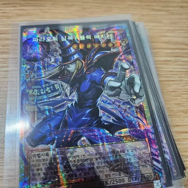 [BUNJANG] Pharaoh's Servant Black Magician Oversized Card / 파라오의심복 블랙매지션 오버프싴