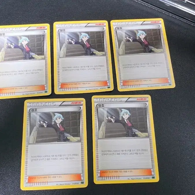 [BUNJANG] Pokemon Trainer Seongho Card xyd / 포켓몬 카드 성호 트레이너 xyd