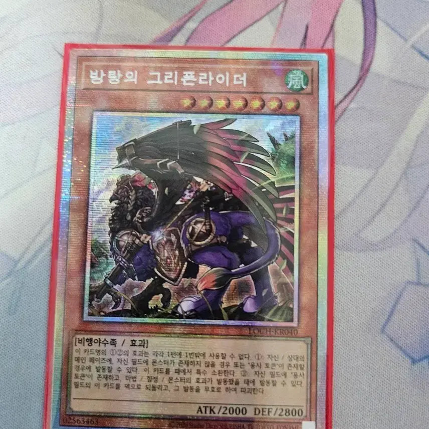 [BUNJANG] Yu-Gi-Oh! Grifon Rider of the Wandering (Starlight Rare) / 유희왕 방랑의 그리폰라이더 (프싴)