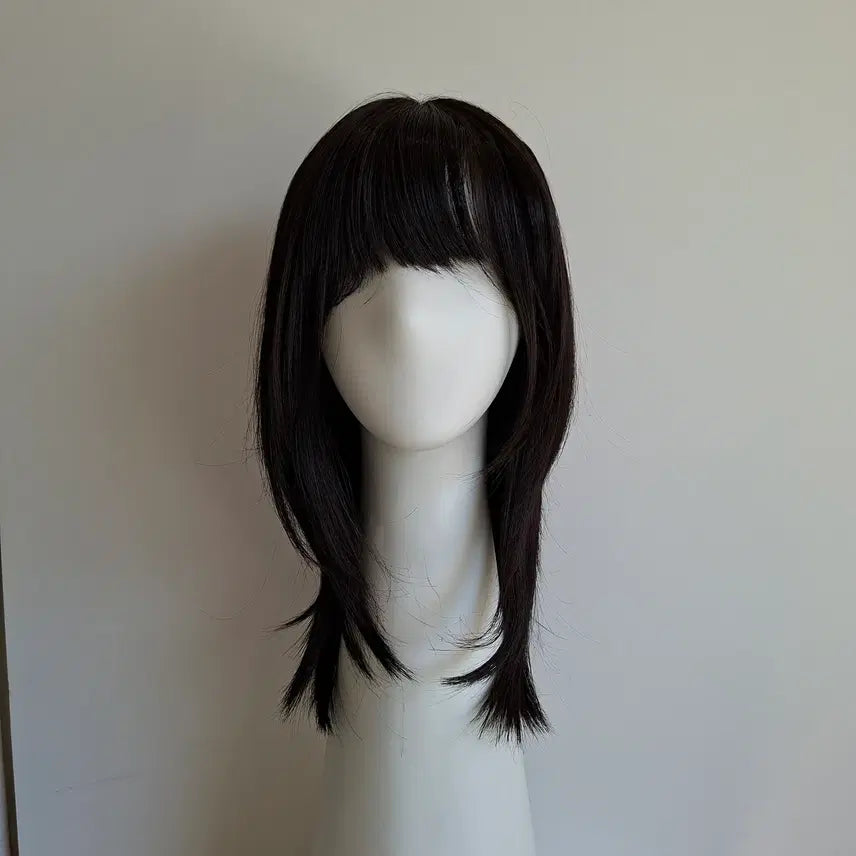 [BUNJANG] Semi-Long Layered Cut Full Wig / 세미롱 레이어드컷 통가발