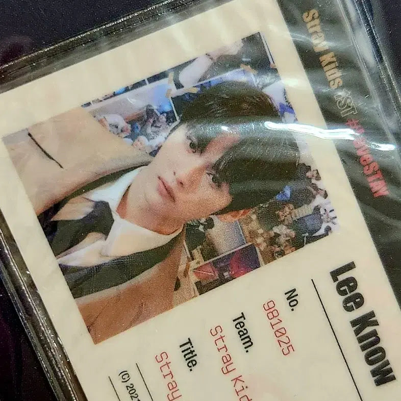 [BUNJANG] Stray Kids Felix SKZ-X 1st Fanmeeting Postcard ID Card File / 리노 skz-x 1기팬미팅 엽서 아이디카드 파일 스트레이키즈 스키즈
