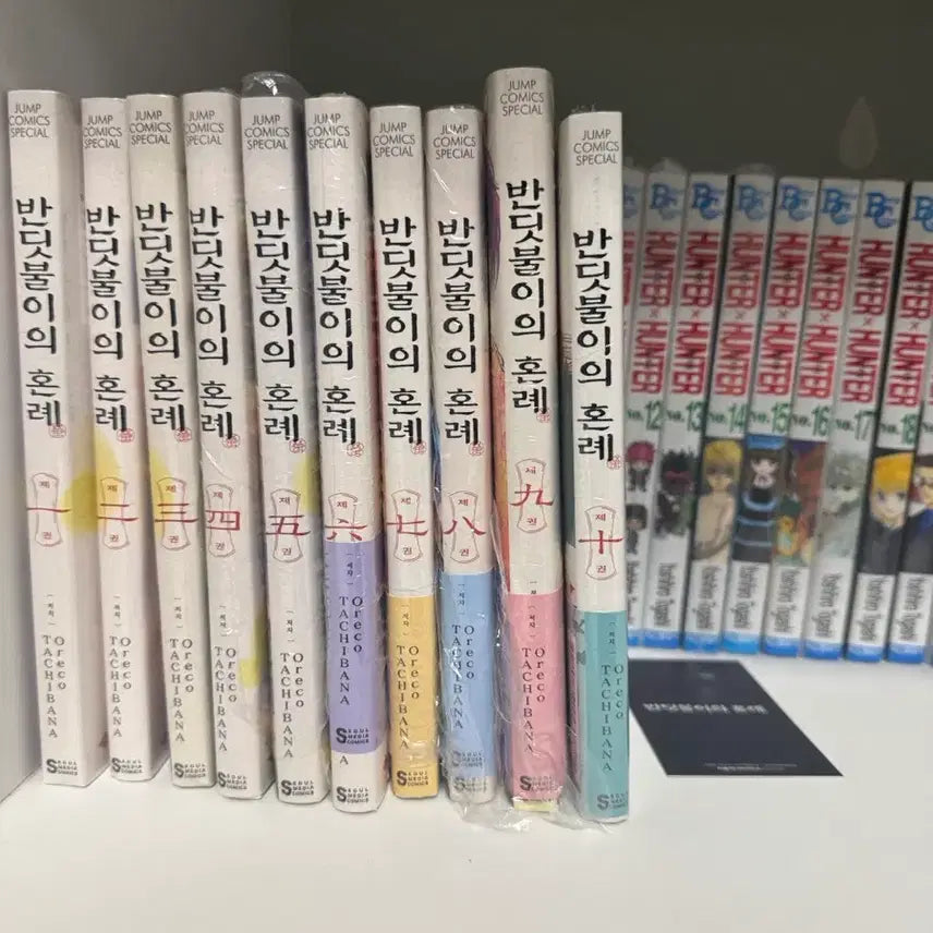 [BUNJANG] The Firefly's Wedding Complete Manga Set Volumes 1-10 / 책갈피 카드 만화책일괄) 반딧불이의 혼례 만화책 1~10권 전권