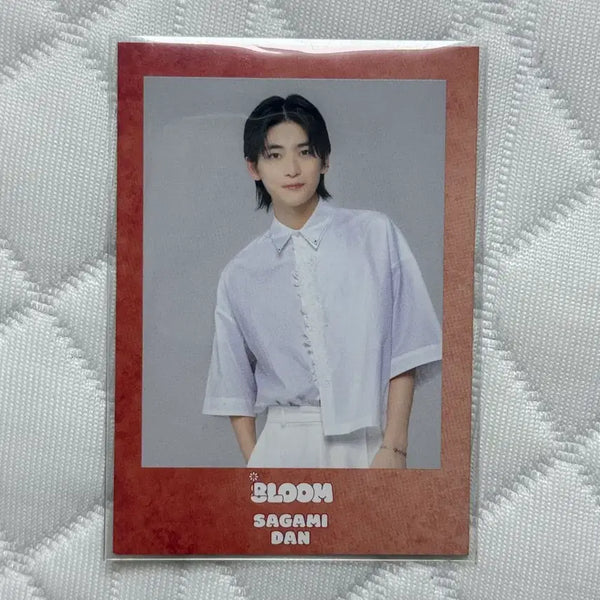 [BUNJANG] Takahashi Fumiya Kimi Hana Japanese Actor Photocard / 타카하시 후미야 키미하나 너의 꽃이 될래 사가미단 일본 배우 포토카드
