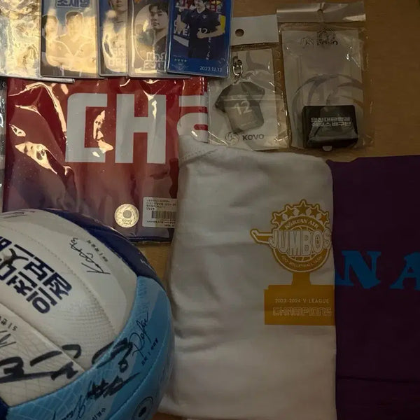 [BUNJANG] Incheon Korean Air Jumbos Apparel and Accessories / 인천 대한항공 점보스 굿즈