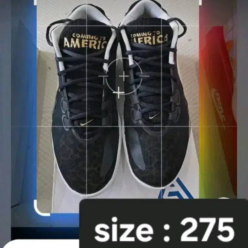 [BUNJANG] Basketball Shoes / 농구화