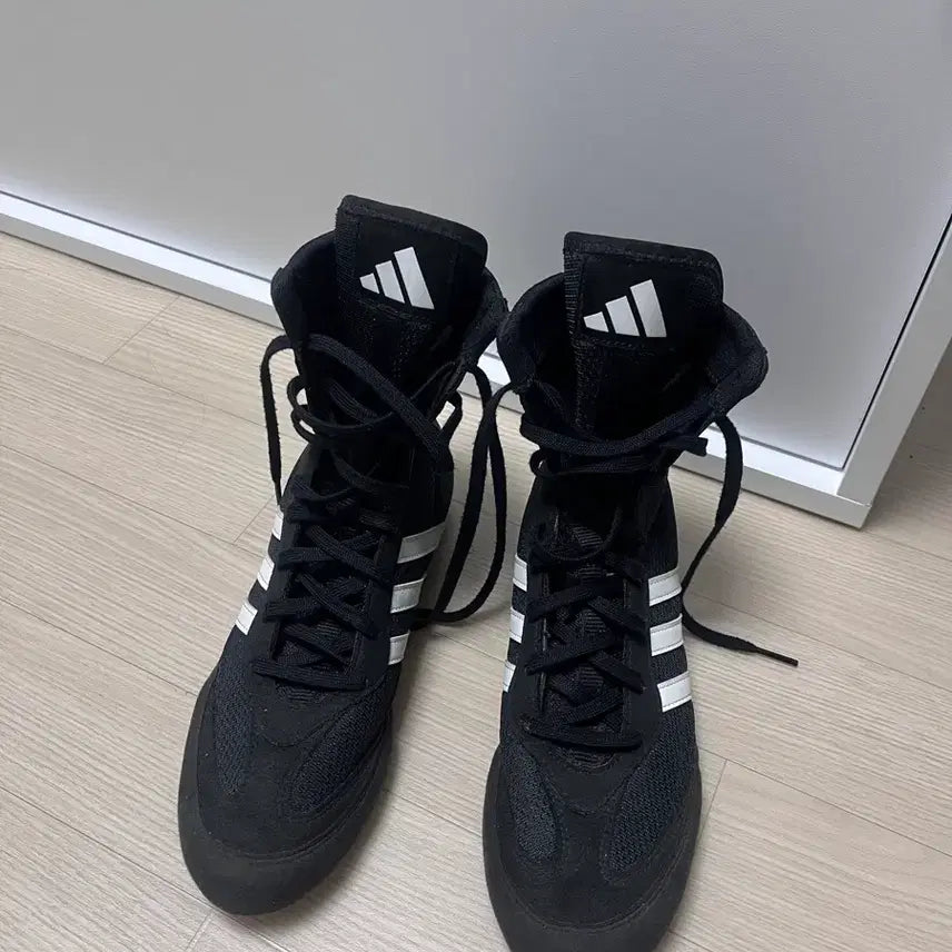 [BUNJANG] Adidas Box Hog 235 / 아디다스 복서 호그 235