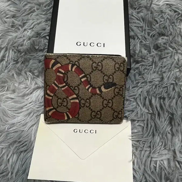 [BUNJANG] Gucci GG Supreme Kingsnake Bifold Wallet / 구찌 킹스네이크 반지갑 GG수프림