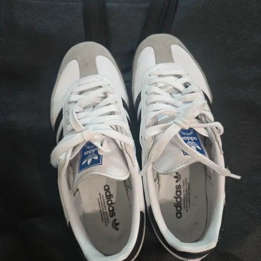 [BUNJANG] Adidas Samba White 240 / 아디다스삼바 240