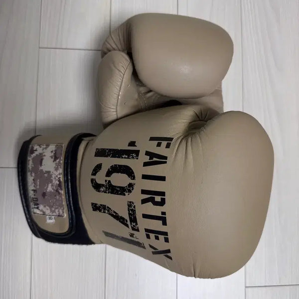 [BUNJANG] Fairtex 10oz Boxing Gloves / 페어텍스 글러브 10온즈