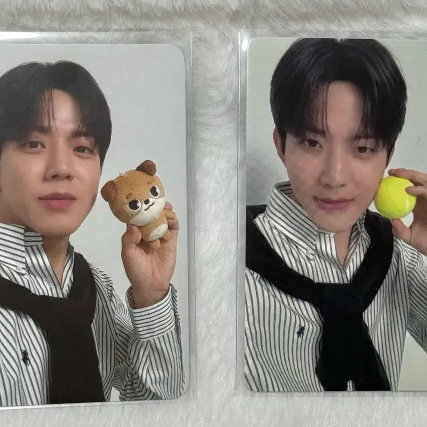 [BUNJANG] DAY6 Dowoon Cherry Blossom Concert Welsho Concert Tennis Photocard Bundle Set / 데이식스 도운 벚꽃콘 웰쇼콘 돈이 포카 테니스 포카 일괄