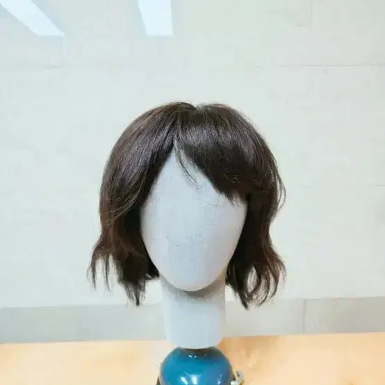 [BUNJANG] 100% Human Hair Wig with Natural Curls / 인모 가발