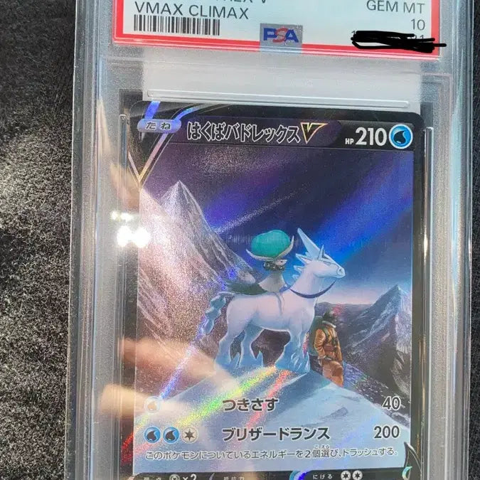 [BUNJANG] Pokemon Card Spectrier VMAX PSA 10 / 포켓몬카드 일판 백마 버드렉스 VMAX PSA10