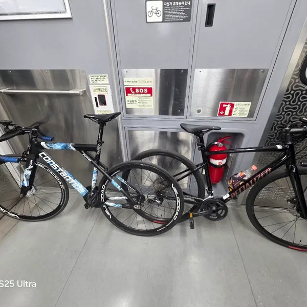 [BUNJANG] 2025 Constantiner PITA Bicycle (51cm) / 콘스탄틴 피타 25년식 판매 또는 로드 대차 봐요 (트랙,스페셜라이즈드,자바)