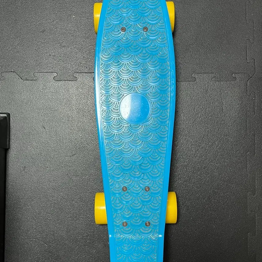 [BUNJANG] Penny Board Compact Skateboard / 페니보드