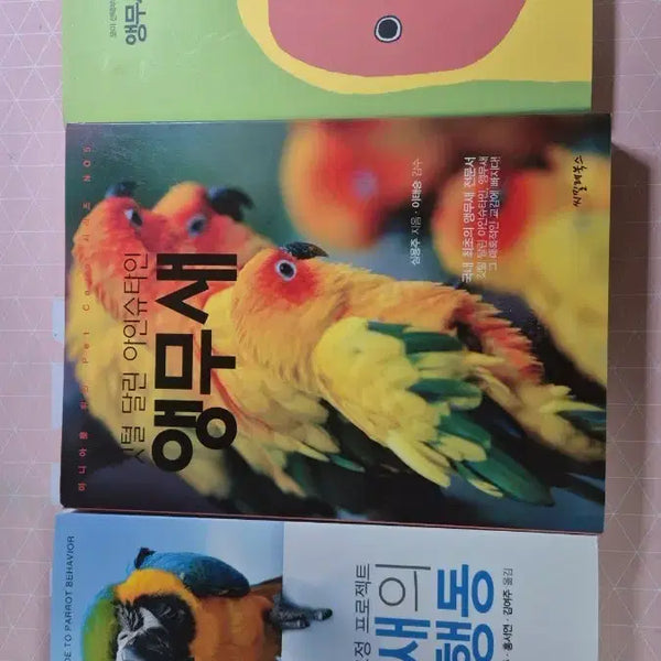 [BUNJANG] Parrot Care Guide Books Bundle / 앵무새, 앵집사 가이드 도서 3권 일괄판매