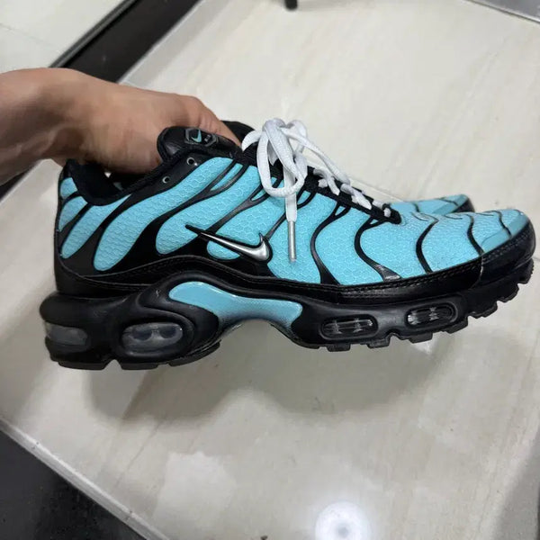 [BUNJANG] Nike Air Max Plus Aqua Metallic Silver / 에어맥스 플러스 아쿠아 메탈릭 실버 265