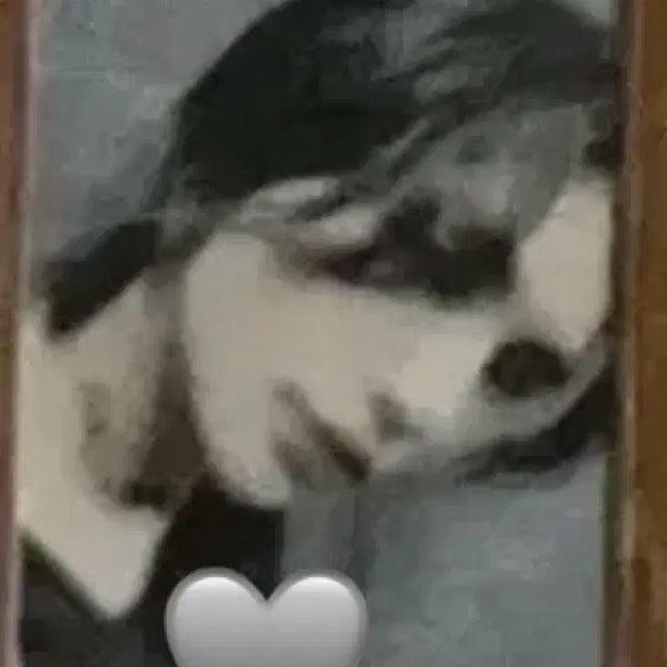 [BUNJANG] Stray Kids Hyunjin NOEASY POB Photocard / 스트레이키즈 현진 노이지 강박 희귀 포카 양도
