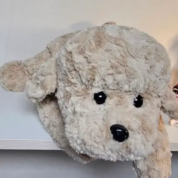 [BUNJANG] Hug Poodle Plush Toy / [택달린새상품]허그푸들 인형