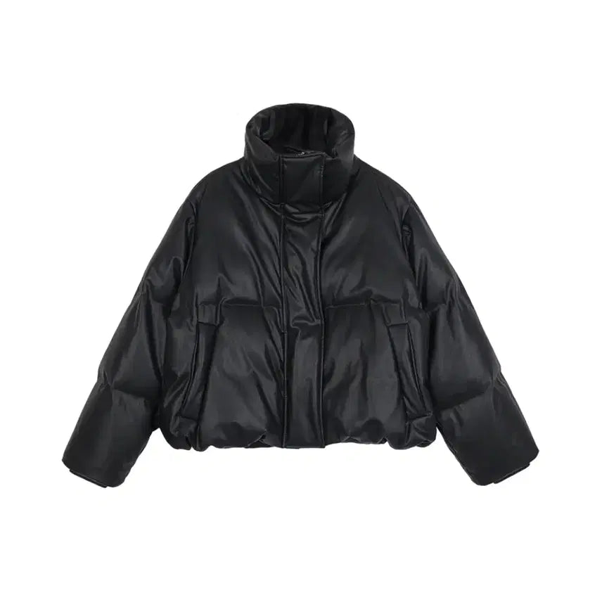 [BUNJANG] PVCS Leather Goose Down Puffer Jacket / PVCS 레더 구스 다운 점퍼