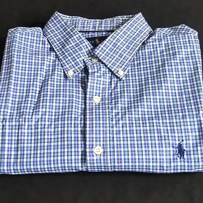 [BUNJANG] Polo Ralph Lauren Men's Long Sleeve Summer Check Shirt / 100정품 폴로 랄프로렌 남성 긴팔 여름체크 셔츠