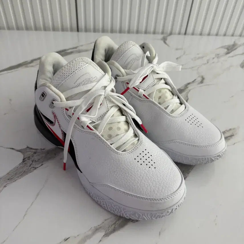 [BUNJANG] Nike LeBron 19 Low SE Men's Basketball Shoes Size 275 / 나이키 르브론 사이즈 275 실착 1회
