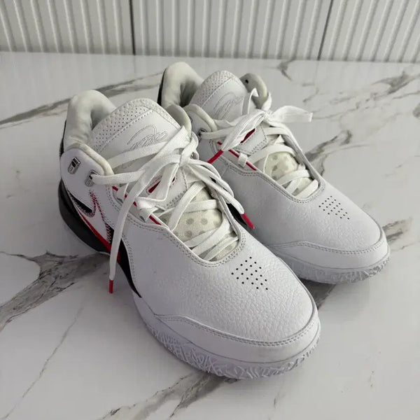[BUNJANG] Nike LeBron 19 Low SE Men's Basketball Shoes Size 275 / 나이키 르브론 사이즈 275 실착 1회