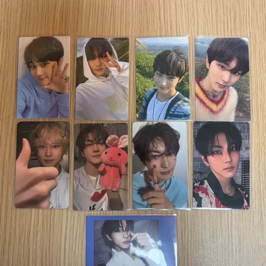 [BUNJANG] ENHYPEN Jungwon Dark Blood Untold Desire Bundle Set Photocard / 일괄) 엔하이픈 정원 양정원 포카양도 다크블러드 강아지풀 언톨드 디자이어