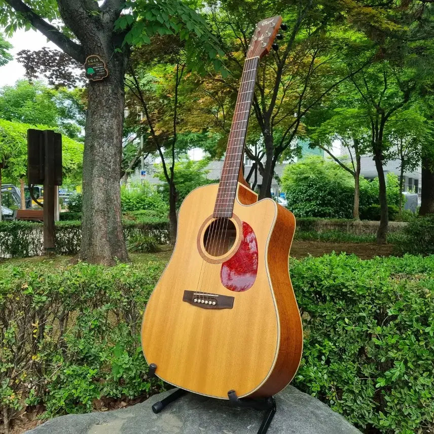 [BUNJANG] Cort MR710F Acoustic-Electric Guitar with Fishman Pickup / 버스킹용 추천 콜트 탑솔리드 픽업장착 통기타