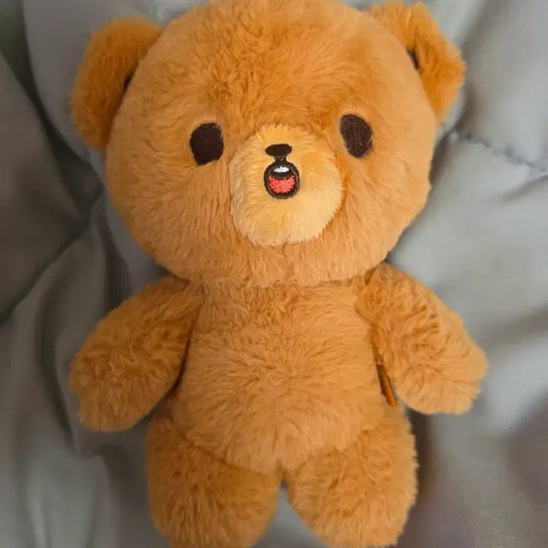 [BUNJANG] NCT Haechan Bear Doll 20cm / 엔시티 해찬인형 이곰도 20cm