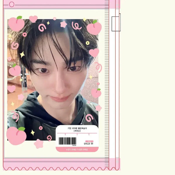 [BUNJANG] Byun Woo Seok Photocard Holder / 변우석 포카집